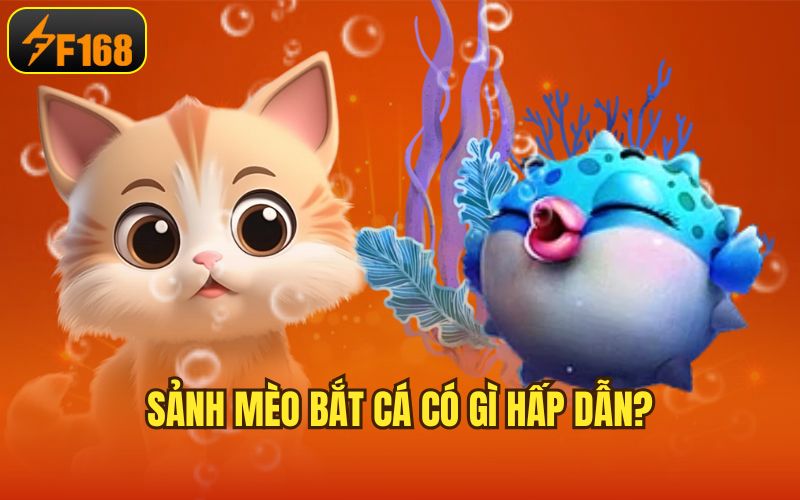 Sảnh mèo bắt cá có gì hấp dẫn?